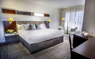 Suite | Paraguaná