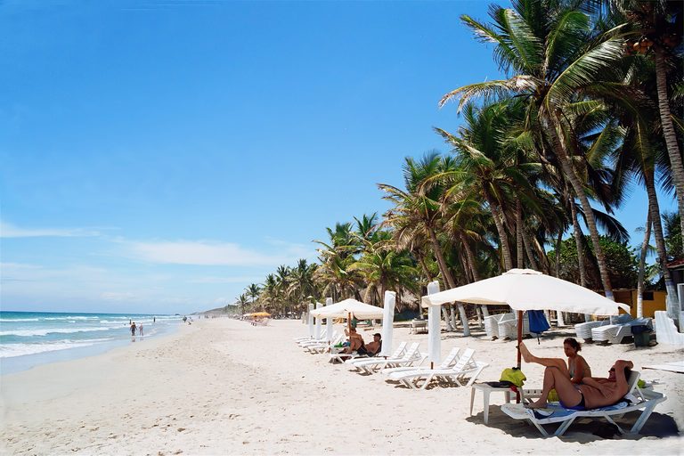Playa con palmeras en la Isla de Margarita